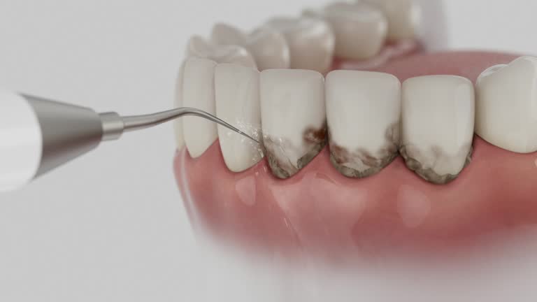 Reliable Dental contractor in Georgetown, PA by Dentist Open Now